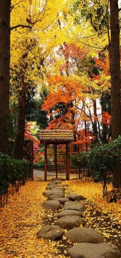 Stepping Stones, Autumn leaves, Tokyo, Japan #Beautiful Seasons of the Year