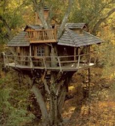 
                    
                        amazon tree house
                    
                
