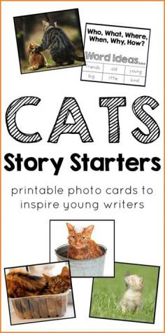 
                    
                        Cats Story Starters Printable Photo Cards  ~ with real photographs, some sweet, some funny! Draw kids into writing with these engaging printable cards!
                    
                