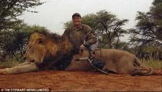 Hunter: Dr Palmer had is now under investigation after he admitted killing the lion in Zim...