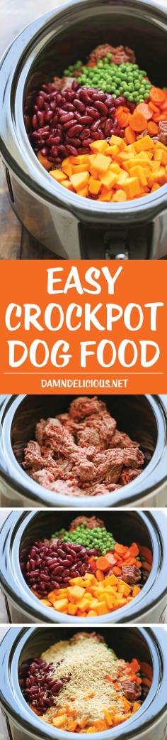 new #dog #food #recipe