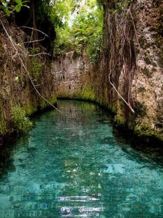 The underground rivers at Xcaret in the Riviera Maya, Mexico.