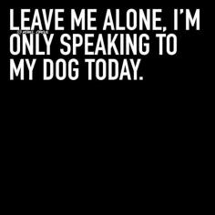 Leave me alone. I'm only speaking to my dogs today. And my cat....