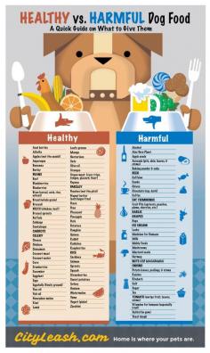 Good and bad food for dogs to have!