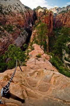 My new love…. hiking  #AngelsLanding #ZionNationalPark