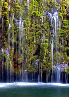 Ummm.... this is 3 hours away... road trip?  Mossbrae Falls, California, United States