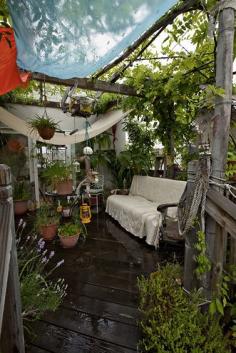 Rooftop garden, secret garden anyone?