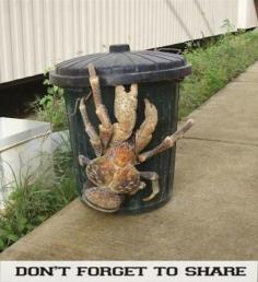 
                    
                        The coconut crab is the largest living arthropod in the world.
                    
                