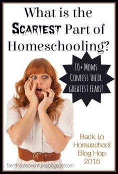 
                    
                        What Is the Scariest Part of Homeschooling? 10+ Moms Share their Fears
                    
                
