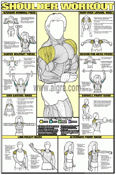 SHOULDER WORKOUT Wall Chart Poster - Co-Ed (Men's and Women's) Military press- Fitness, Gym, Workout, Health Club #workout #fit #exercise