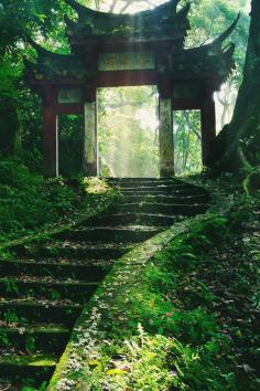 Temple Entry, Japan | The Best Travel Photos