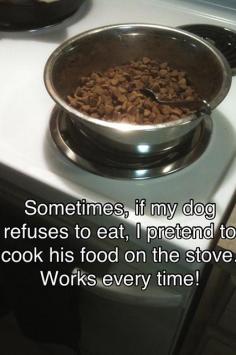 We used to have to put a little water in our dog's food because he was getting old and it was too hard to eat. Another dog we were watching got jealous and refused to eat his food wothout water. If you didn't add it, then he would flip the bowl over with his paw and spill the food :)