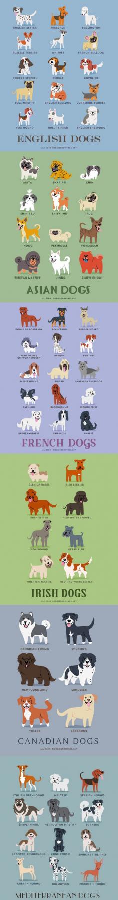 Dogs Of The World. #Animals #Breeds #Chart #Dogs #World