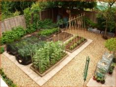 Finding Time To Garden In Your Busy LIfe