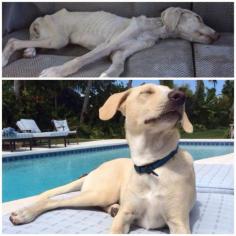 "Meet coconut. What a difference three months can make."