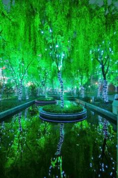 Midnight Garden:  #Magic #Forest in Shanghai, China.