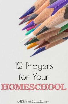 
                    
                        Encouraging post offers twelve prayers for homeschool, taken straight from the pages of the Bible. A must-read for Christian homeschoolers!
                    
                