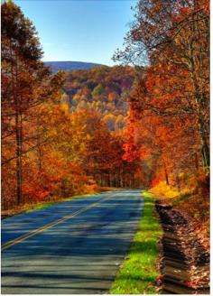 My favourite part of the drive between NC and DC: central Virginia in the fall