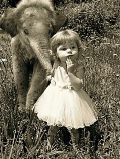 Vintage photo of little girl with baby elephant