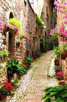 French town of Giverny where Monet's Garden is located...would love to walk this path...