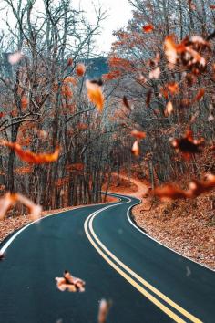 twisty autumn road