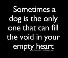 Sometimes a dog is the only one that can fill the void in your empty heart every home • APlaceToLoveDogs.com • dog dogs puppy puppies cute doggy doggies adorable funny fun silly quotes