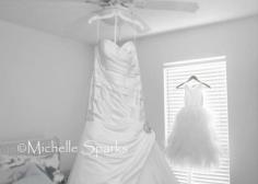 
                    
                        Must have wedding photo of brides dress
                    
                