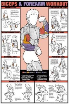 Bicep workout poster, for the guns