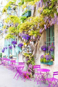Paris Gardening!