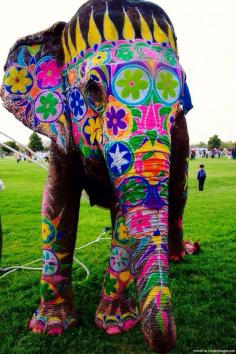 Elephant hippy 