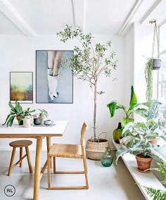 
                    
                        Bringing greenery into your living areas also creates a natural flow between the outdoors and the indoors | photography christina kayser onsgaard
                    
                