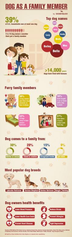Dog as a family member. Go adopt a dog :)