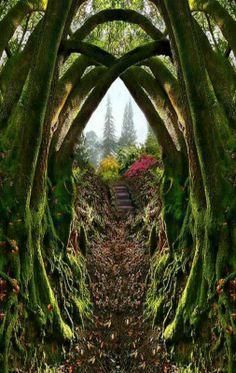 
                        
                            Entrance to the Secret Garden, Portland, Oregon
                        
                    