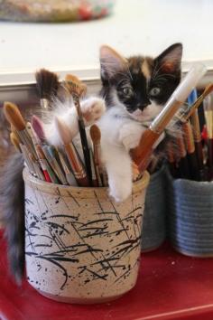 Tabby kitten blending into the paint brushes. How cute! Cats will lay just about anywhere. LOL Precious. ~Me﻿  #cats #cute #kitten