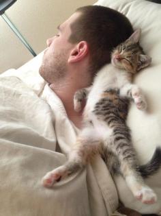 Handsome Dad and cute Kitten.