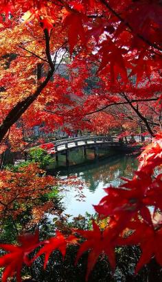 Bridge - Autumn at the Eikan-do Temple pond in Kyoto, Japan • photo: calvario.paseo on Flickr