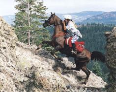 Endurance riding. This is where it all started! Right in Tahoe called The Tevis Cup. This Is one of the hardest sports for a horse! Take a amazing horse to finish over 50 to 100 miles!