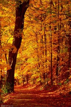 Fantastic autumn sceneries around the world