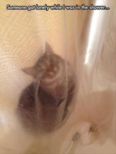 My cat does this to me. But tries to attack me through the shower curtain too...