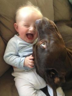 A goofy dog successfully entertaining a baby: | 30 Animal Pictures That Will Make You A Better Person #pitbull #puppies #bullies #Bully #cutebully #americanbully