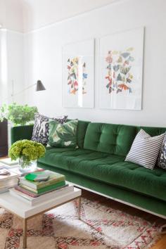 
                    
                        Gotta love a green sofa!!
                    
                
