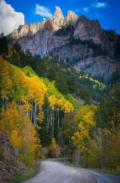 ✮ Aspens on hillside in the San Juan mountains of Colorado (home sweet home!)