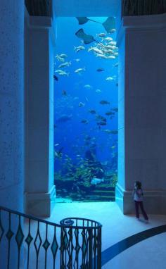 Underwater Hotel Dubai Atlantis the Palm  BUCKET LIST!!!!!