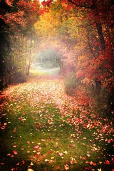 Autumn Magic by Laura Bellamy