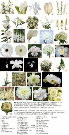 bridal bouquet | Modern Petals Blog -white flowers