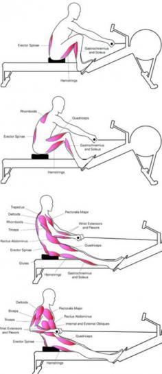 Rowing is one of my favorite exercises because it works practically every muscle, including your heart. And once you start rowing there is nothing that can stop you! #health #fitness