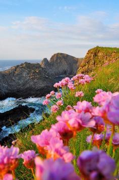 Coastal Beauty, Donegal, Ireland  photo via molly