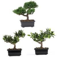 Set of 3 faux bonsai trees are strikingly realistic. Artfully trimmed to be as stunning as the real thing. Natural looking trunk and exposed roots. Low profile pot makes them ideal for tabletops. Designed for indoor use. Pot: 5L x 3.5W x 2.25H in. Overall: 8.5H, 2 lbs. (ea). Spread serenity throughout the house with the 8.5-in. Bonsai Silk Tree Collection - Set of 3. Artfully sculpted and highly detailed to look like the real things, these little bonsai trees are sized just right for tabletops and require no maintenance or upkeep from you. They're designed for indoor use and feature strikingly realistic trunks and roots. Each stands about 8.5 inches tall and lives in a decorative little pot. About Nearly Natural Inc. For over 75 years, Nearly Natural Inc. has been providing conscientious consumers with beautiful alternatives to natural decorations. Employing and advised by naturalists who understand the live plant world, Nearly Natural is able to recreate the most realistic-looking decorative items for homes, offices, and businesses. Driven by a true commitment to customer service, attention to detail, and natural philosophy, Nearly Natural strives to bring customers the most beautiful, unique, and striking faux fauna and flora on the market.