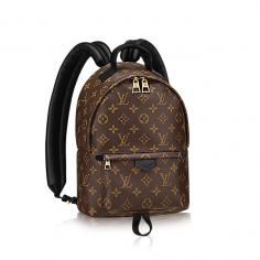 Palm Springs Backpack PM Monogram Canvas - Fashion Show Selection | LOUIS VUITTON