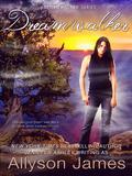 All is quiet at Janet Begay's Crossroads Hotel, where the paranormal is normal, until Emmett Smith, the most powerful mage in the world, arrives to announce his intent to steal Janet's smart-mouthed magic mirror. Janet already has her hands full trying to keep her sister Gabrielle under control as well as plan her upcoming wedding to her dragon-Shifter boyfriend Mick and taking care of the weird creatures that suddenly turn up at Barry's biker bar. When Janet is knocked out fighting the creatures, she wakes up seemingly in the past, after she and Mick had first met and traveled across country by motorcycle, alone and free. The dream seems so real that Janet begins to forget it isn't. The dreams call her back, each one more powerful than the last, until she can no longer distinguish between past and present-and she'd not the only one affected. Janet and her friends-Mick, Cassandra, Nash, Gabrielle, Coyote, her grandmother, and the dragons-must band together to thwart this greatest of magics before it splits them into fragments and leaves the world vulnerable to the most evil of evils. Book 5 of the Stormwalker series. This is a full-length novel.